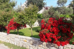 Bodenabendi, Mara Lubiana