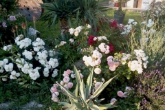 Swany, Tereza Maslač