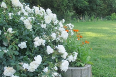 Swany, Marija, Gornja Radgona